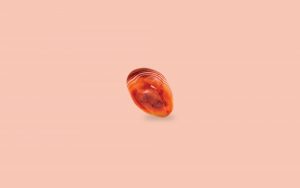 Carnelian